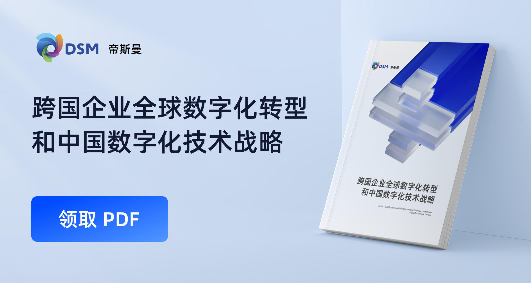 帝斯曼亚太区｜CIO <br/>《跨国企业的中国数字化技术战略》